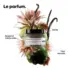 Masque Réparateur Absolut Repair Molecular L'Oréal Pro 150ml