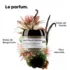 Masque Réparateur Absolut Repair Molecular L'Oréal Pro 75ml