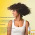 Shampoing Ultra Doux Brillance & Souplesse Ecophane Soft Bailleul 200ml