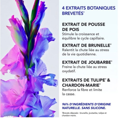 Traitement Antichute Réactionnelle Phytophanère 12 x 5 ml Phyto
