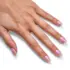 Kit Vernis Semi-permanent Pearlescence Le Mini Macaron
