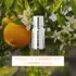 Booster Huiles Essentielles Cheveux Fins & Mous Mon Shampoing