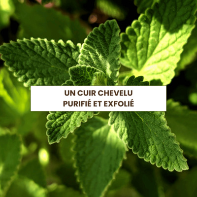 Gommage Naturel Cuir Chevelu Mon Shampoing