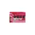 Coffret minis vernis à ongles The New OPIcons OPI