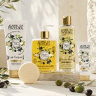JEP - Divine Olive