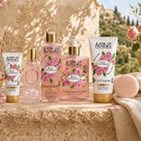 JEP - Rose Envoutante