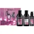 Coffret pour cheveux colorés Acidic Color Gloss Redken