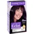 Coloration Crème Permanente Color Eclat Violine 4.20 Eugène Color