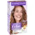 Coloration Crème Permanente Color Éclat Blond Foncé Doré 7.3 Eugène Color