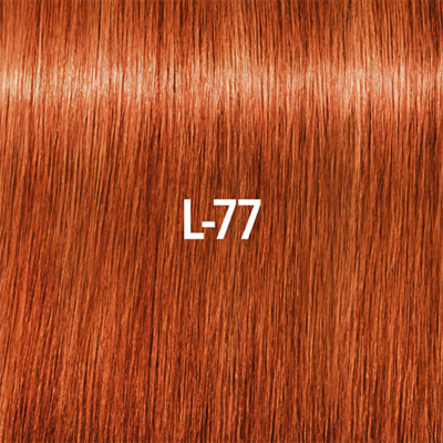 Igora Royal Fashion Lights L-77 Highlights Cuivré Extra Schwarzkopf