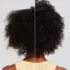 Après-shampooing Quotidien Everyday Clean Beauty Paul Mitchell