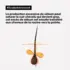 Argile Shampooing-masque 2-en-1 Purifiant Profond Scalp Advanced L'Oréal Pro