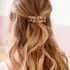 Lot Barrettes Ecaille Bachca