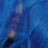 Color Fresh Masque Blue Wella