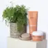 Boîte Shampooing Solide WeDo Professional