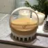 Brosse de Massage Cuir Chevelu Cap Bambou