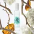 Brumes du Maroc Moroccanoil 100ml