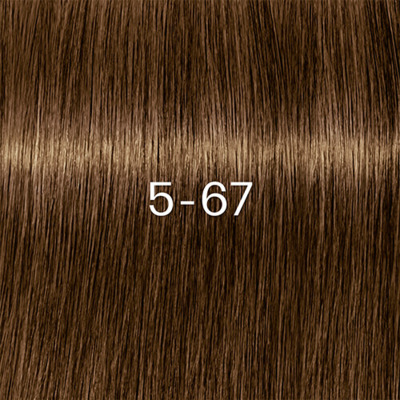 Coloration Permanente Igora Zéro Amm 5-67 Châtain Clair Marron Cuivré Schwarzkopf