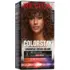 Coloration Permanente Colorstay N°5.12 Châtain Glacé Revlon