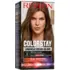 Coloration Permanente Colorstay N°6 Châtain Clair Revlon
