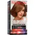 Coloration Permanente Colorstay N°6.35 Caramel Revlon