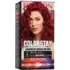 Coloration Permanente Colorstay N°6.6 Rouge Intense Revlon