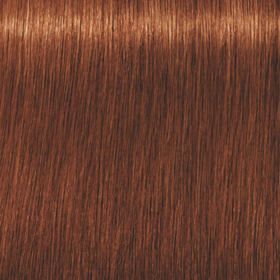 Coloration Permanente Igora Royal 6-77 Blond Foncé Cuivré Extra Schwarzkopf
