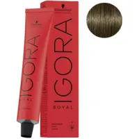 Coloration Permanente Igora Royal Cools 6-31 Blond Foncé Mat Cendré Schwarzkopf