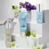 Conditioner Hydratant Hydrate System Professional