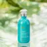 Crème Coiffante Disciplinante Frizz Control Moroccanoil 300ml