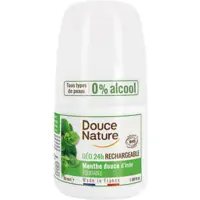 Déodorant Bille Purifiant 24H Menthe Douce Nature