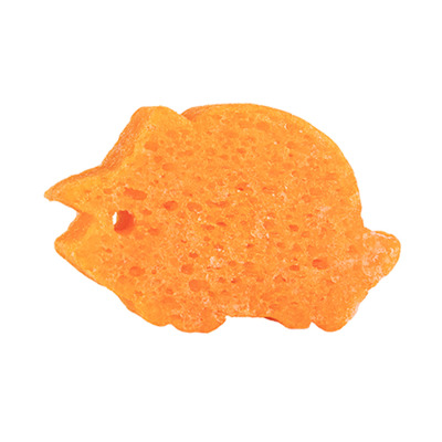 Éponge Enfant infusée Tina Triceratops Spongellé