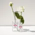 Eau de Cologne Rose Berdoues 125ml
