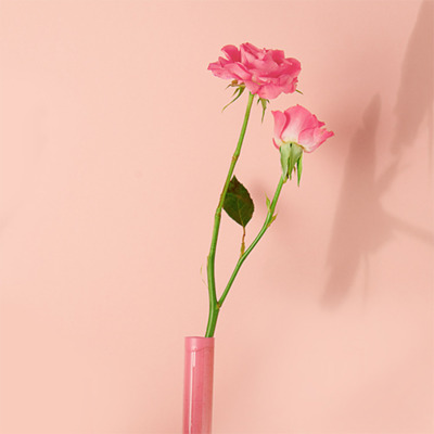 Eau de Parfum Rose Solinotes 15ml