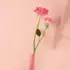 Eau de Parfum Rose Solinotes 15ml
