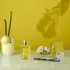 Eau de Parfum Vanille Solinotes 15ml