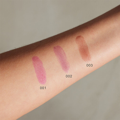 Encre à Lèvres Lip Stain 003 Dark Chocolate Gosh