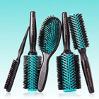 Brosses sanglier