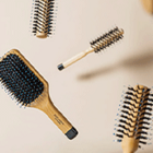 HRBS - La Collection de Brosses