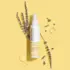 Spray Heat Styling Clean Beauty Paul Mitchell