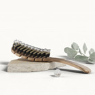 MS - Les accessoires