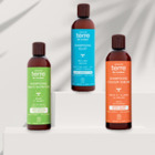 TDC - Shampooings
