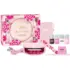 Kit Vernis Semi-permanent Le Maxi La Vie en Bloom Le Mini Macaron