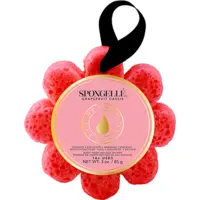 Éponge infusée Grapefruit Cassis Spongellé