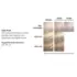 Color Fresh Masque Lilac Frost Wella