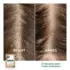 Masque Poudre Traitant Antipelliculaire Galanga Klorane x8