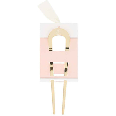 Pic Chignon Métal Bachca