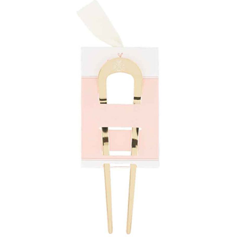Pic Chignon Métal Bachca