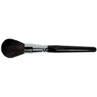 Pinceau Poudre Noir Parisax