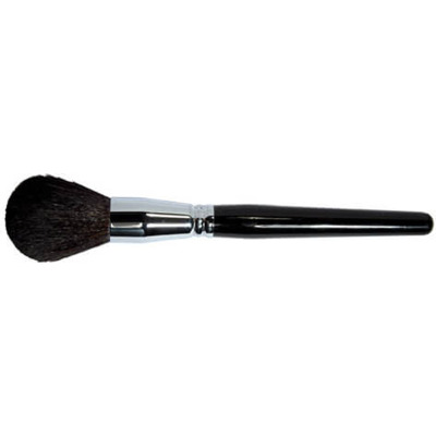 Pinceau Poudre Noir Parisax